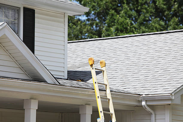 Best Demolition Debris Removal  in Williston Park, NY